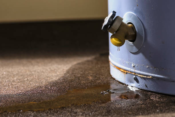Best Sewage cleanup and water damage restoration  in Bridge City, TX