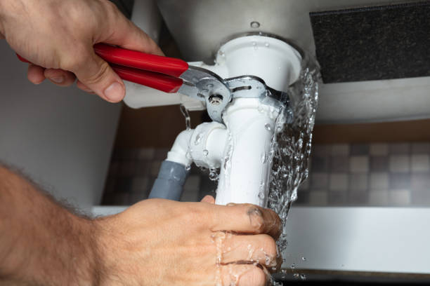 Best Water damage cleanup near me  in Bridge City, TX
