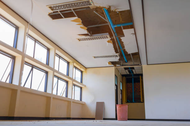 Best 24-hour water damage restoration  in Bridge City, TX
