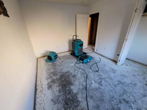 Best Flood damage cleanup  in Bridge City, TX