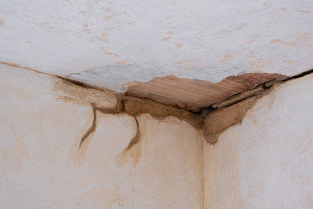 Best 24/7 water damage repair  in Bridge City, TX