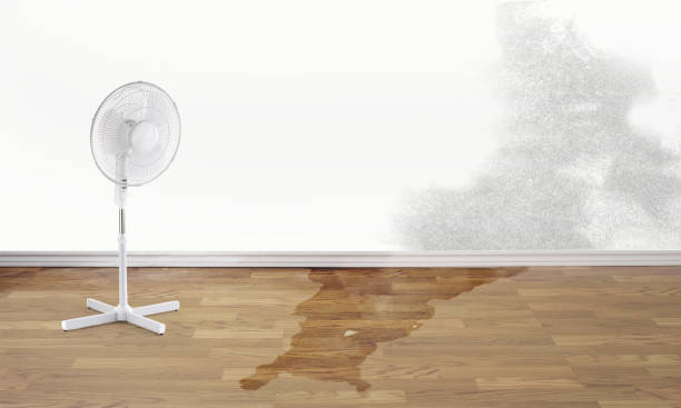 Reliable Bridge City, TX Water damage restoration Solutions