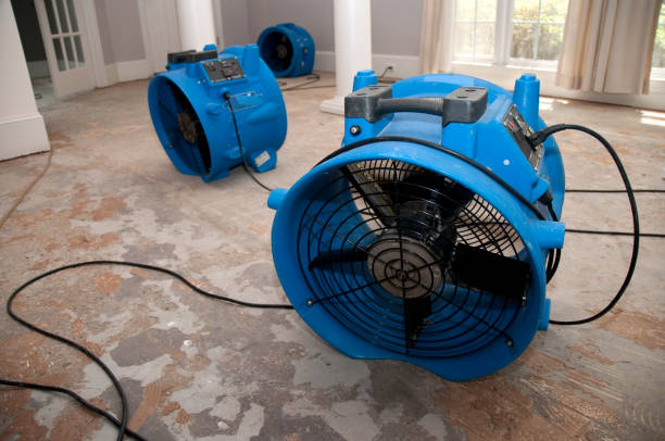 Best Water damage restoration near me  in Bridge City, TX