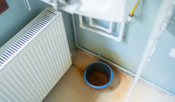 Best Professional water damage repair  in Bridge City, TX
