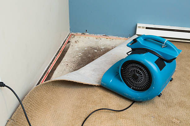  Bridge City, TX Water damage restoration Pros